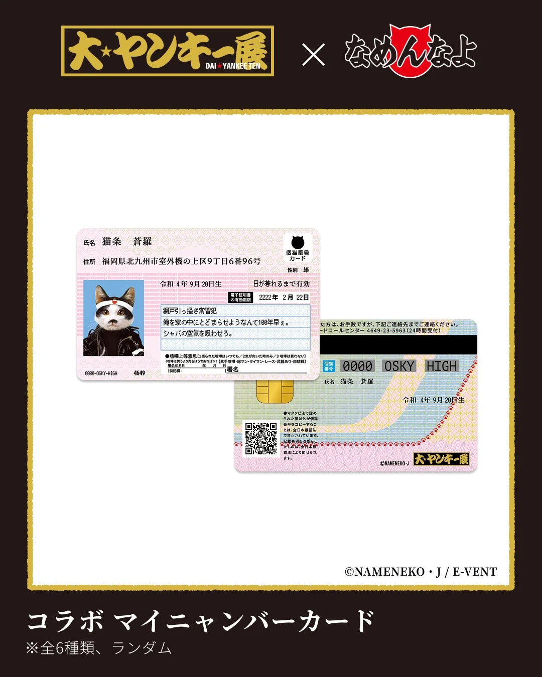 なめんじゃよ 猫籍番号カード