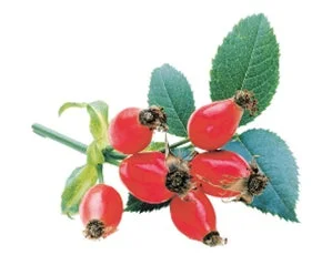 ローズヒップエキス