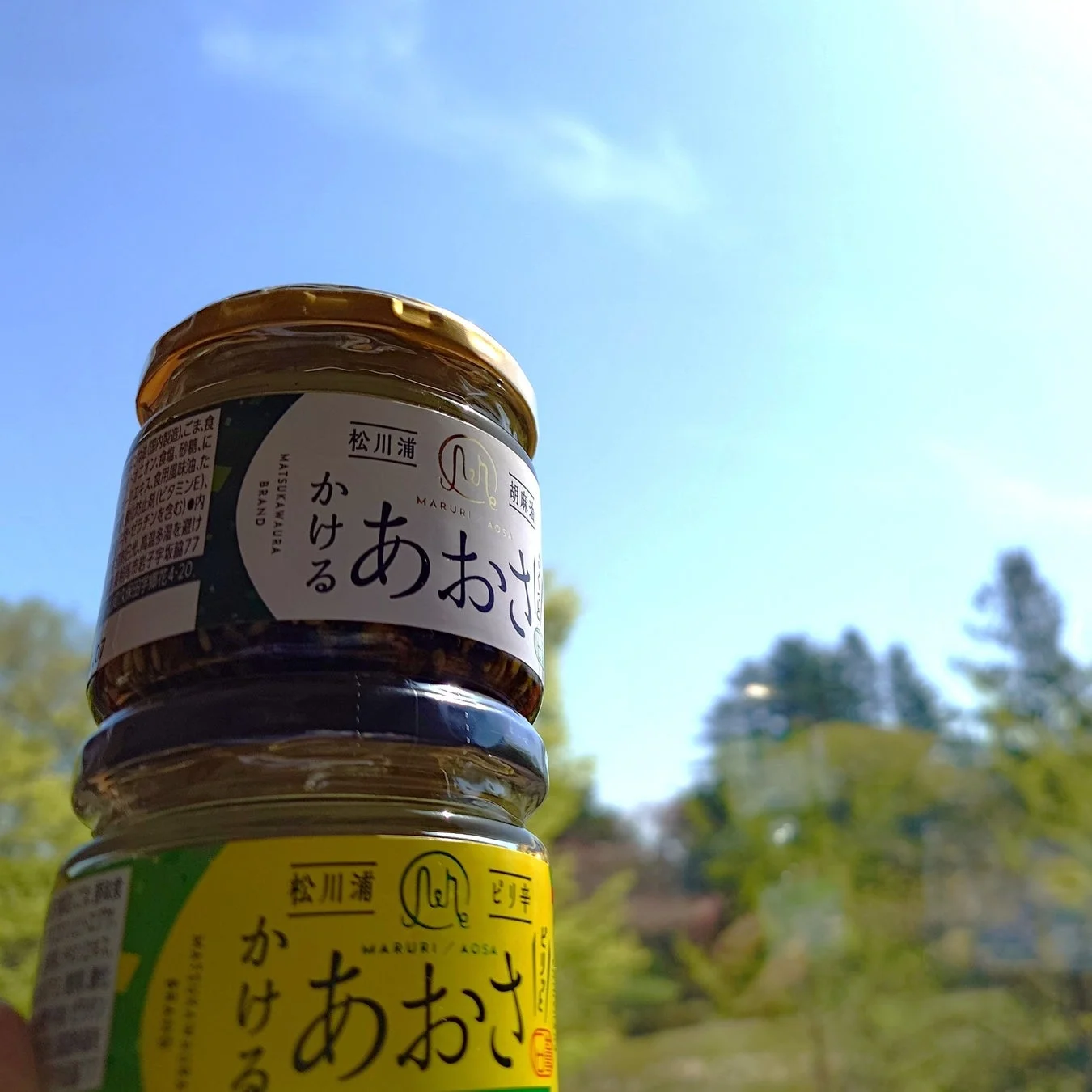 松川浦かけるあおさ
