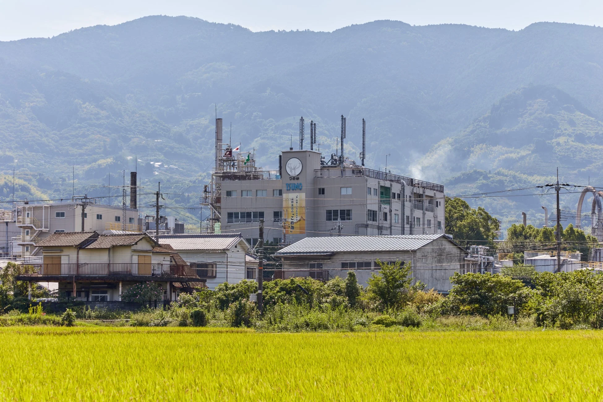 築野食品工業の工場と田園風景
