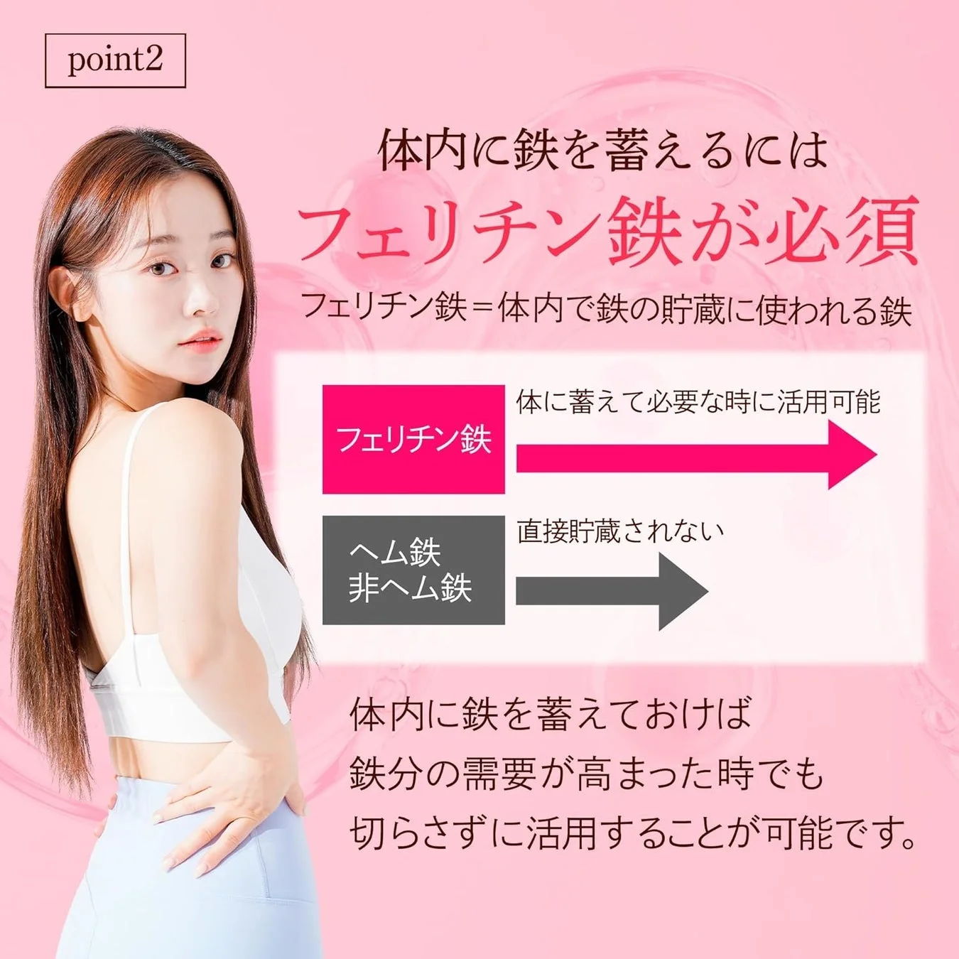 フェリチン鉄の貯蔵機能