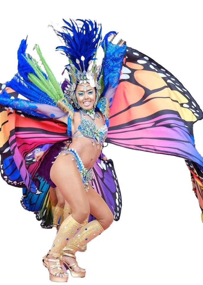 華やかな蝶のコスチュームのダンサー