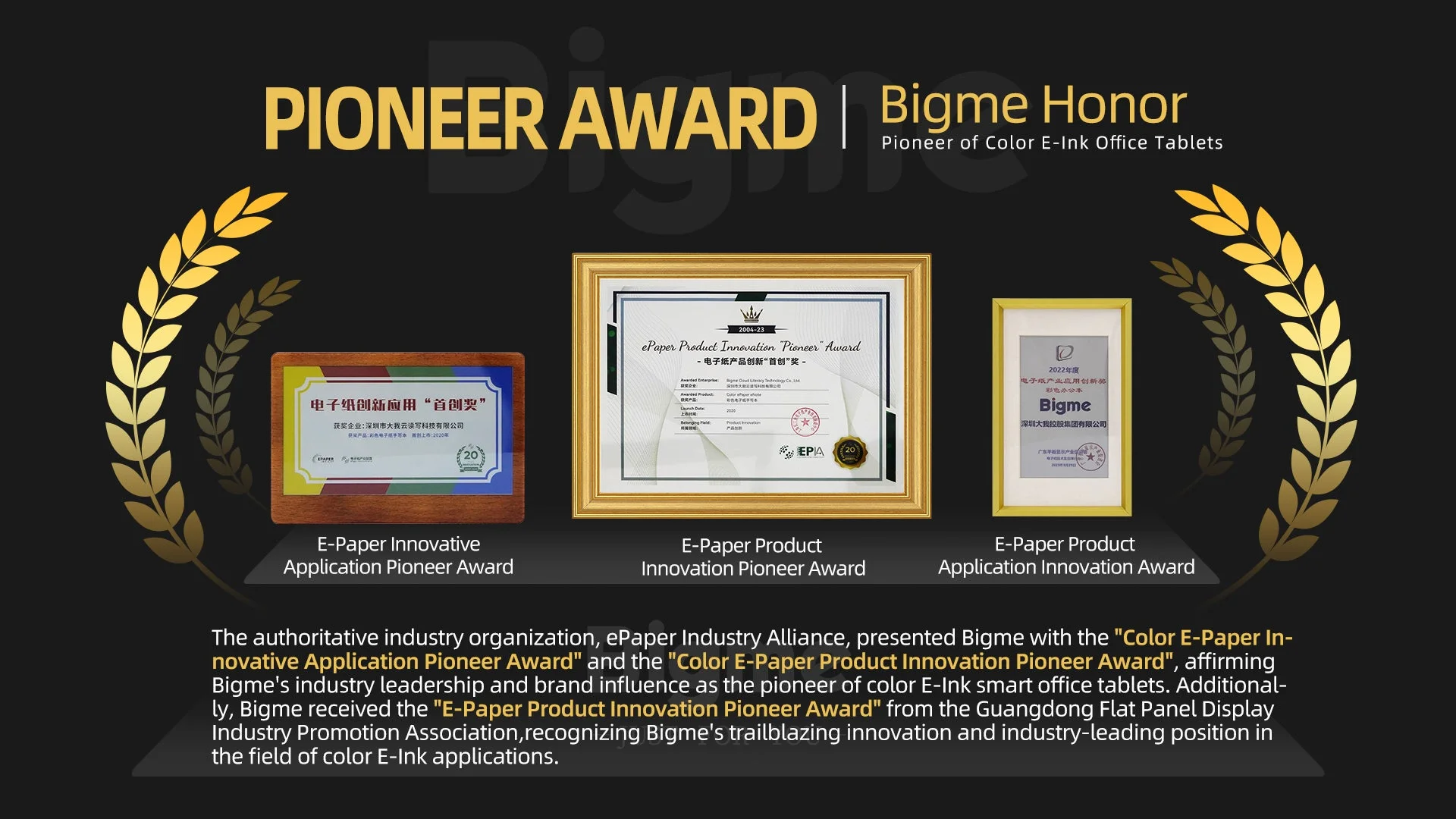 Bigmeが受賞したE-Paper Pioneer Award