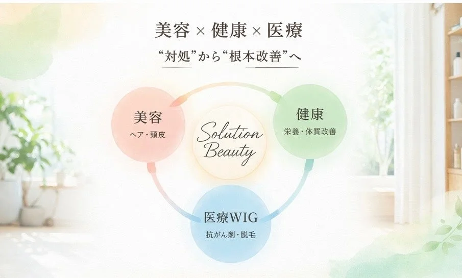 ソリューション美容の概念図