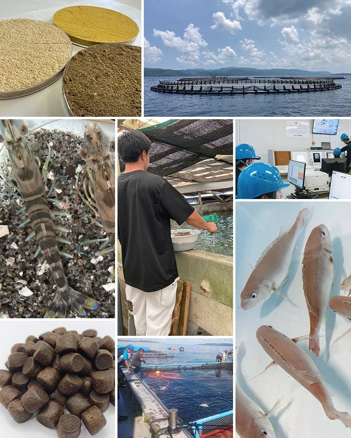 養殖業の多岐にわたる側面を示すコラージュ画像