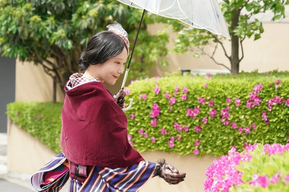 和装の女性が、透明な傘を差し、満開のピンクの花が咲き誇る庭園を散策しています