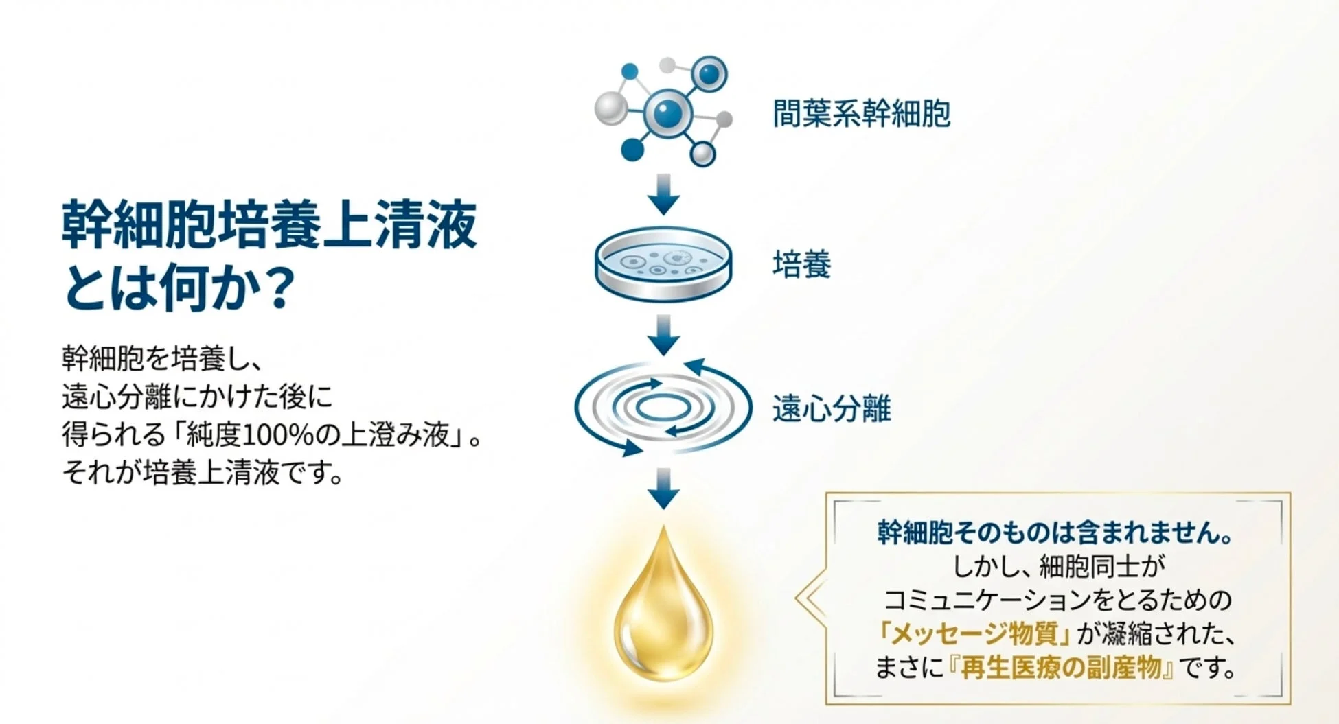 幹細胞培養上清液の説明図