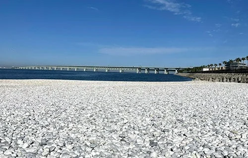白い小石のビーチと橋