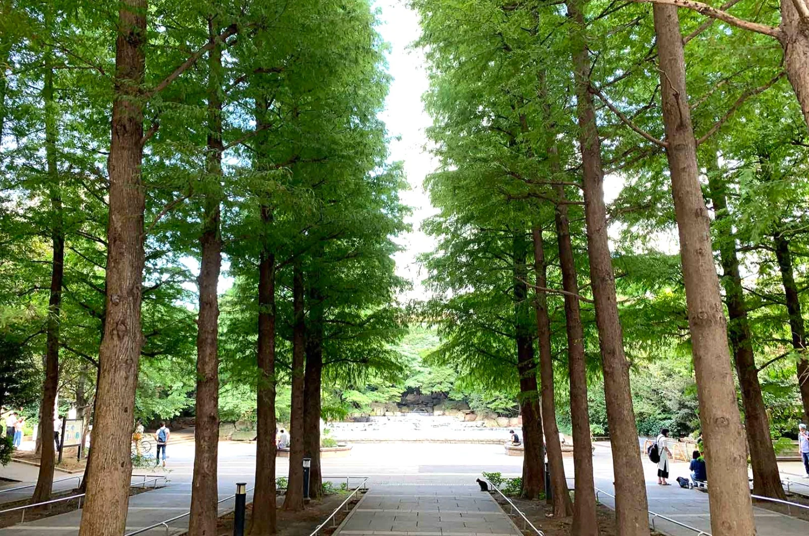 東池袋中央公園