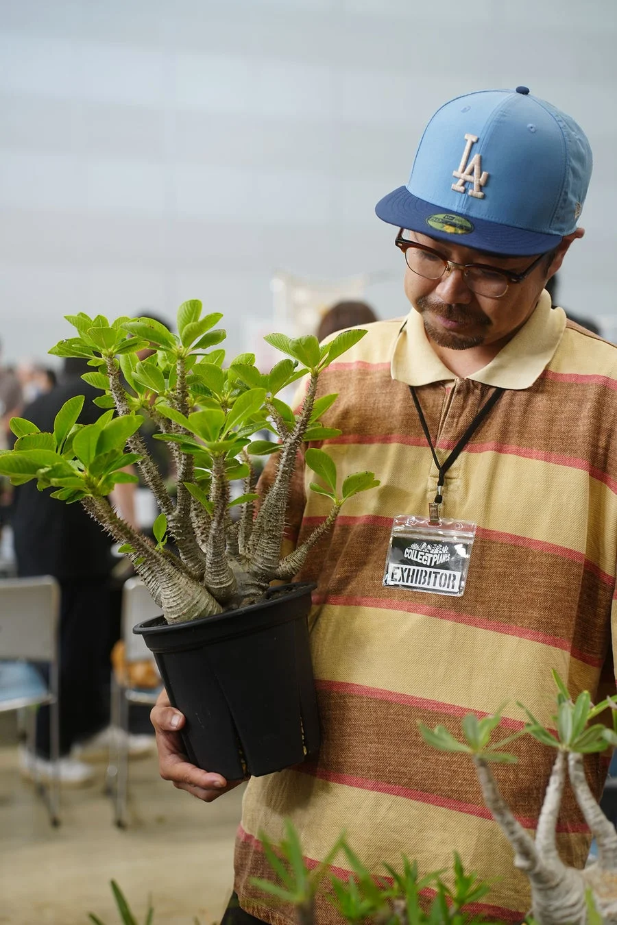出展者が多肉植物を手にしている様子