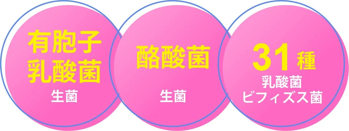 乳酸菌・ビフィズス菌の種類