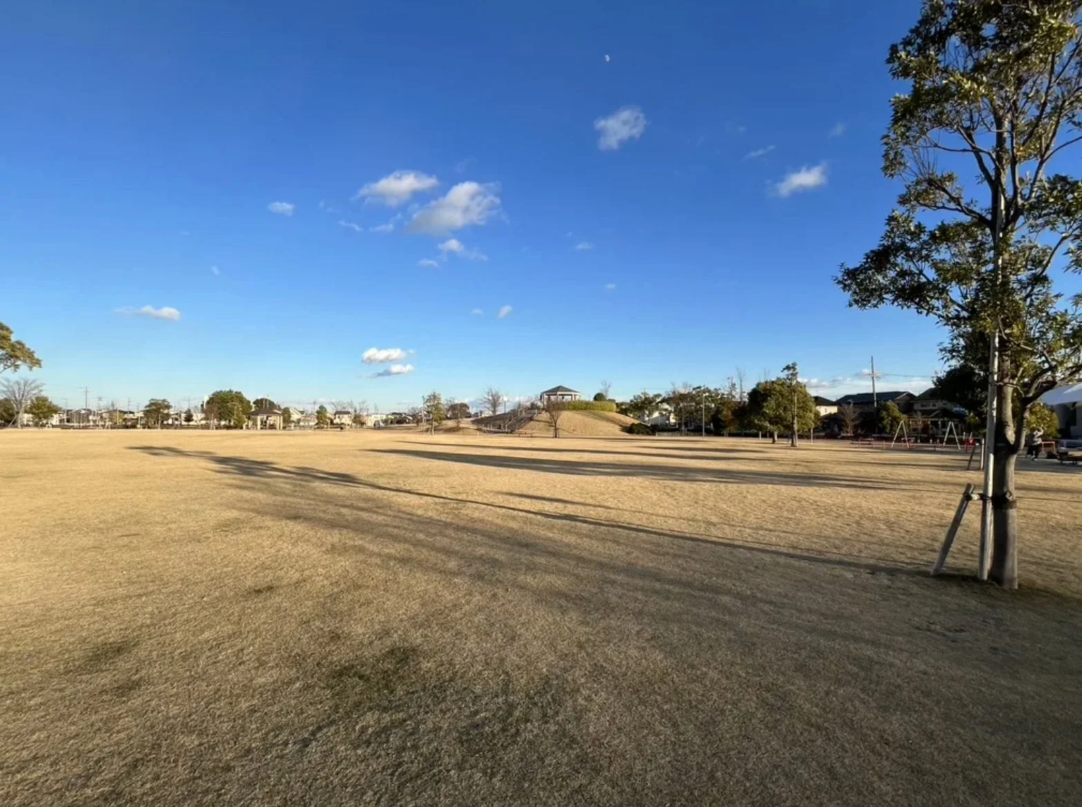 広大な芝生が広がる石津西公園みなく〜るの風景