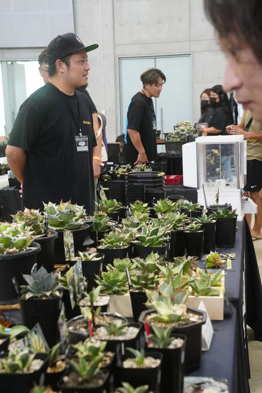 アガベなどの多肉植物が並ぶブース