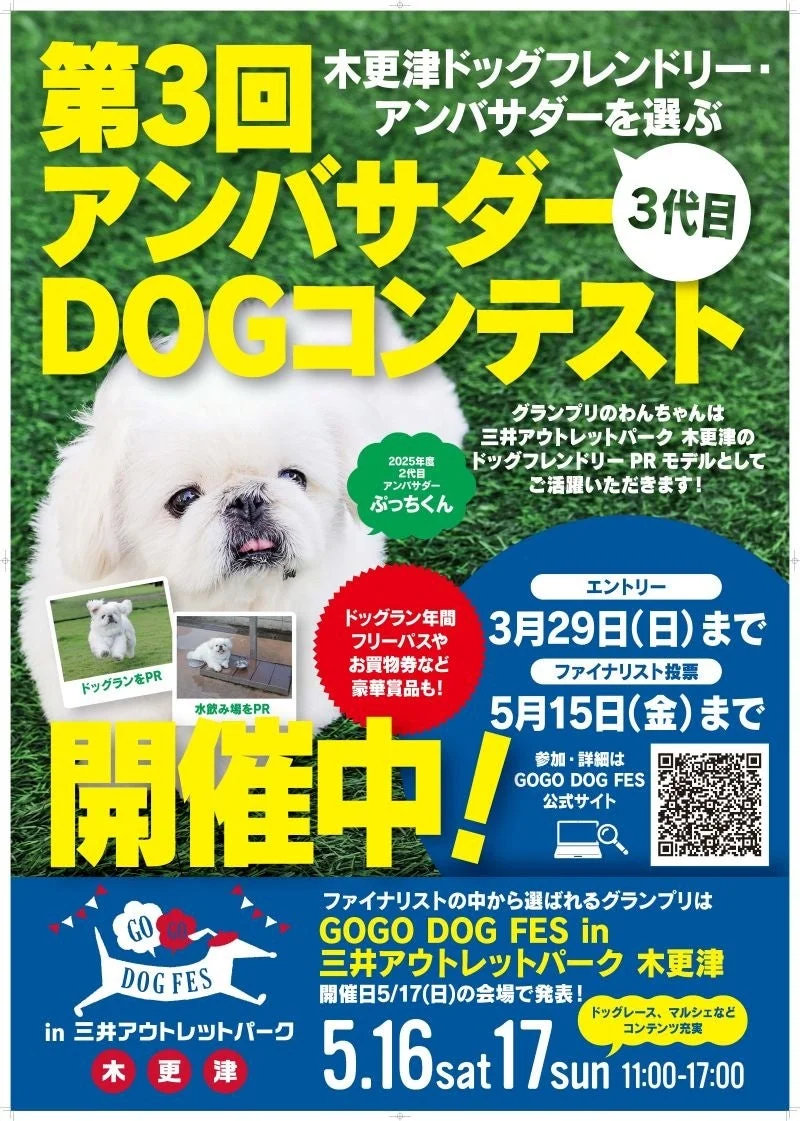 ドッグコンテスト