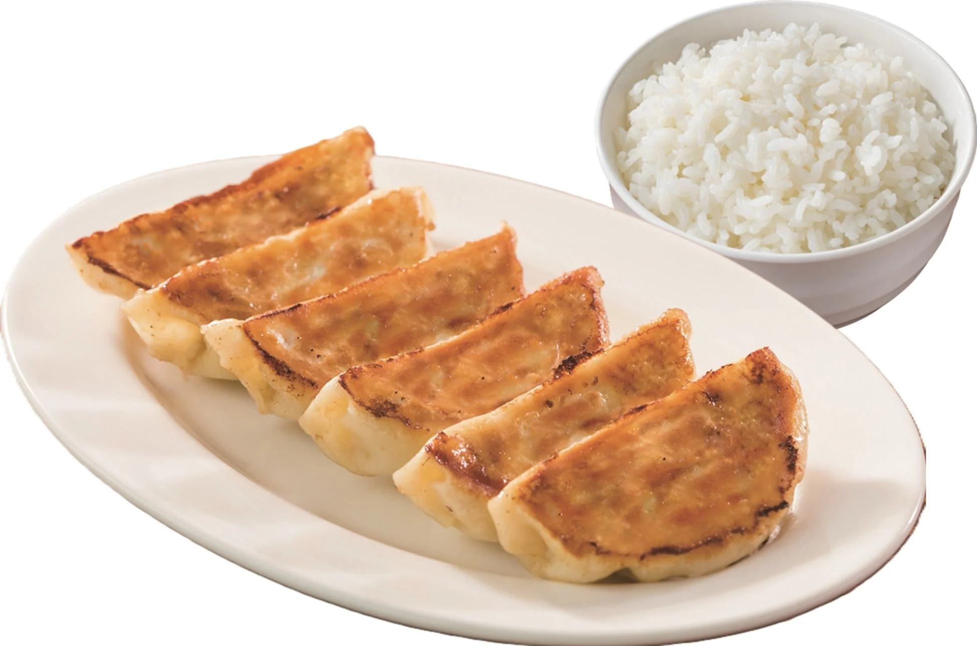 白い皿にきれいに並べられた焼き餃子と、白いご飯が添えられたシンプルな食事