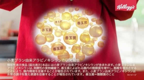 善玉菌の図