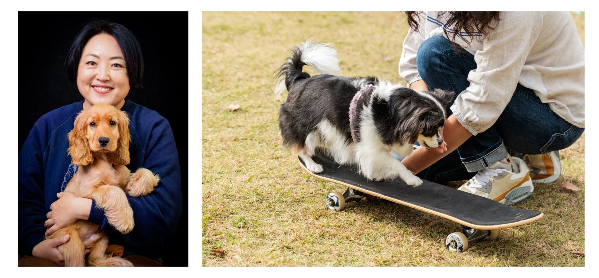 スケートボードをする犬