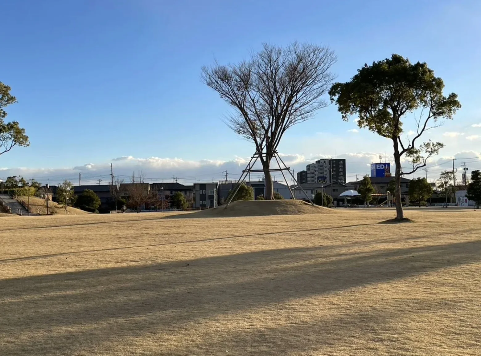 冬の晴れた日に広々とした公園で撮影された写真