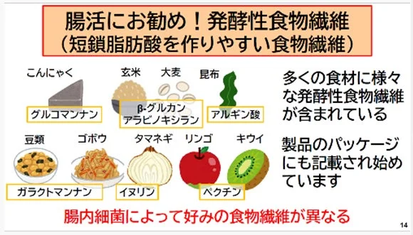 発酵性食物繊維が豊富な食材の紹介