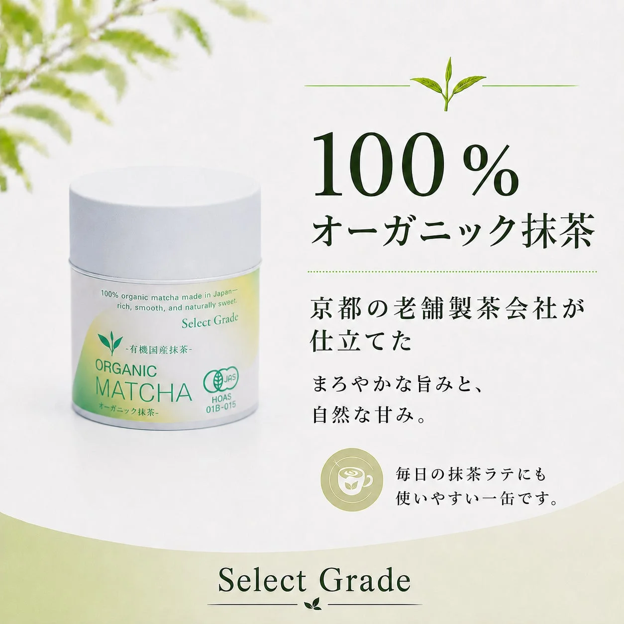 セレクトグレードのオーガニック抹茶