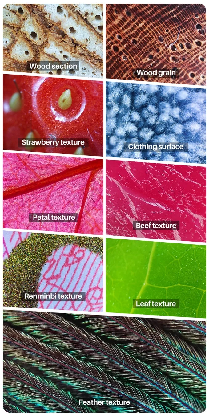 Wood section Wood grain Strawberry texture Clothing surface Petal texture Beef texture Renminbi texture Leaf texture Feather texture