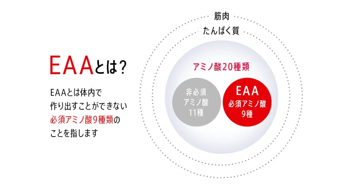 EAAの説明図
