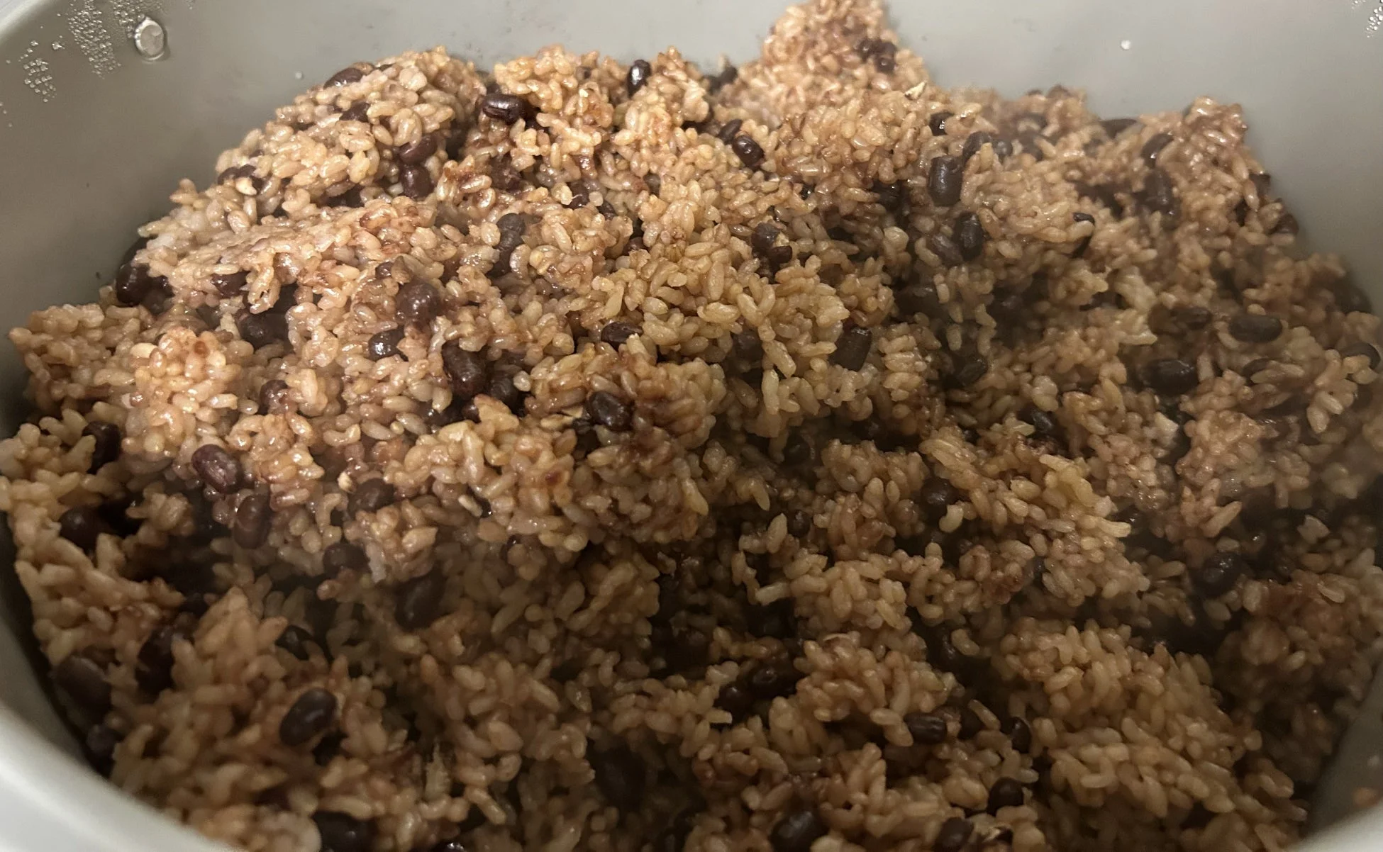 炊飯器の中の発酵玄米