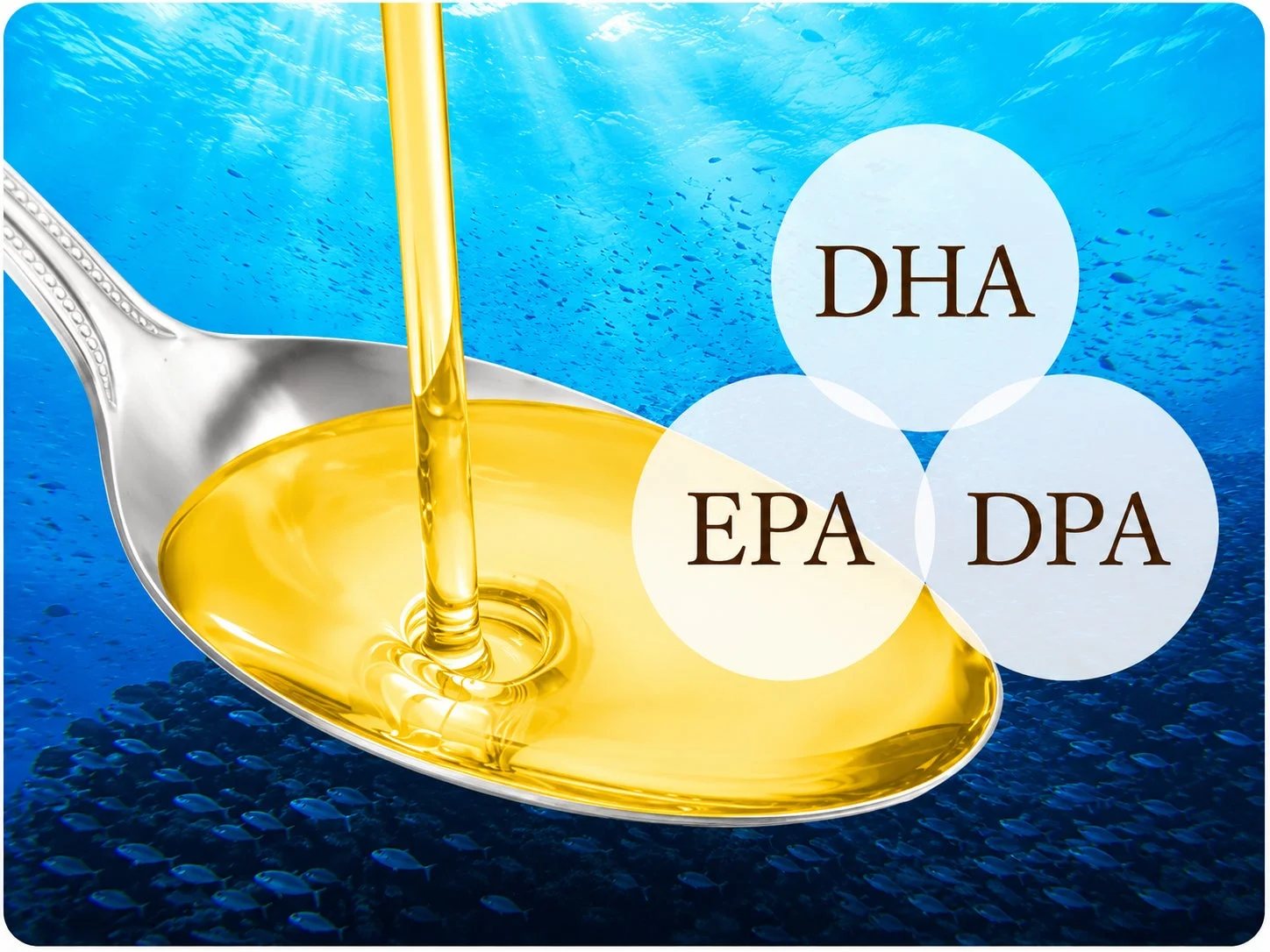 DHA/EPA/DPAと魚のイメージ