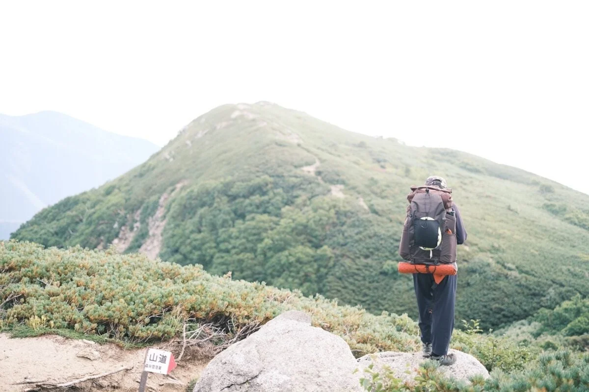 登山,山,自然,ハイキング,アウトドア,バックパック,山道