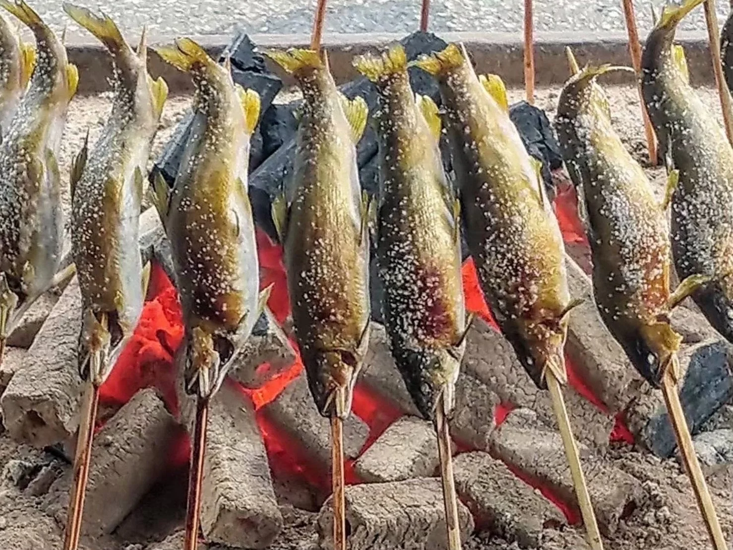 魚の塩焼き
