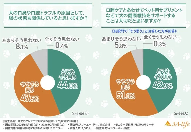 犬の口臭や口腔トラブルと腸の関係