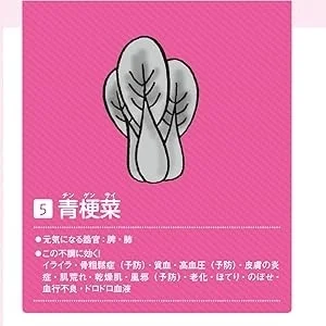 青梗菜のイラスト