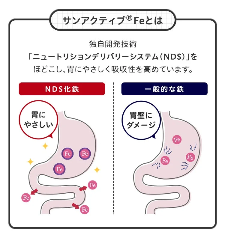 サンアクティブ®︎Feとは
