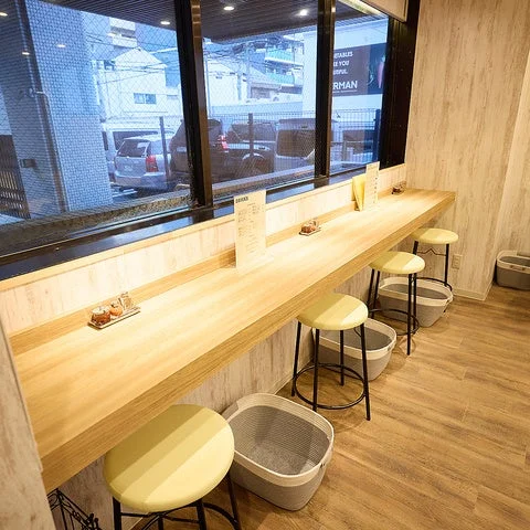 カフェ,カウンター席,窓際,インテリア,モダン,明るい,飲食店,スツール,街並み,店舗内装,木目調