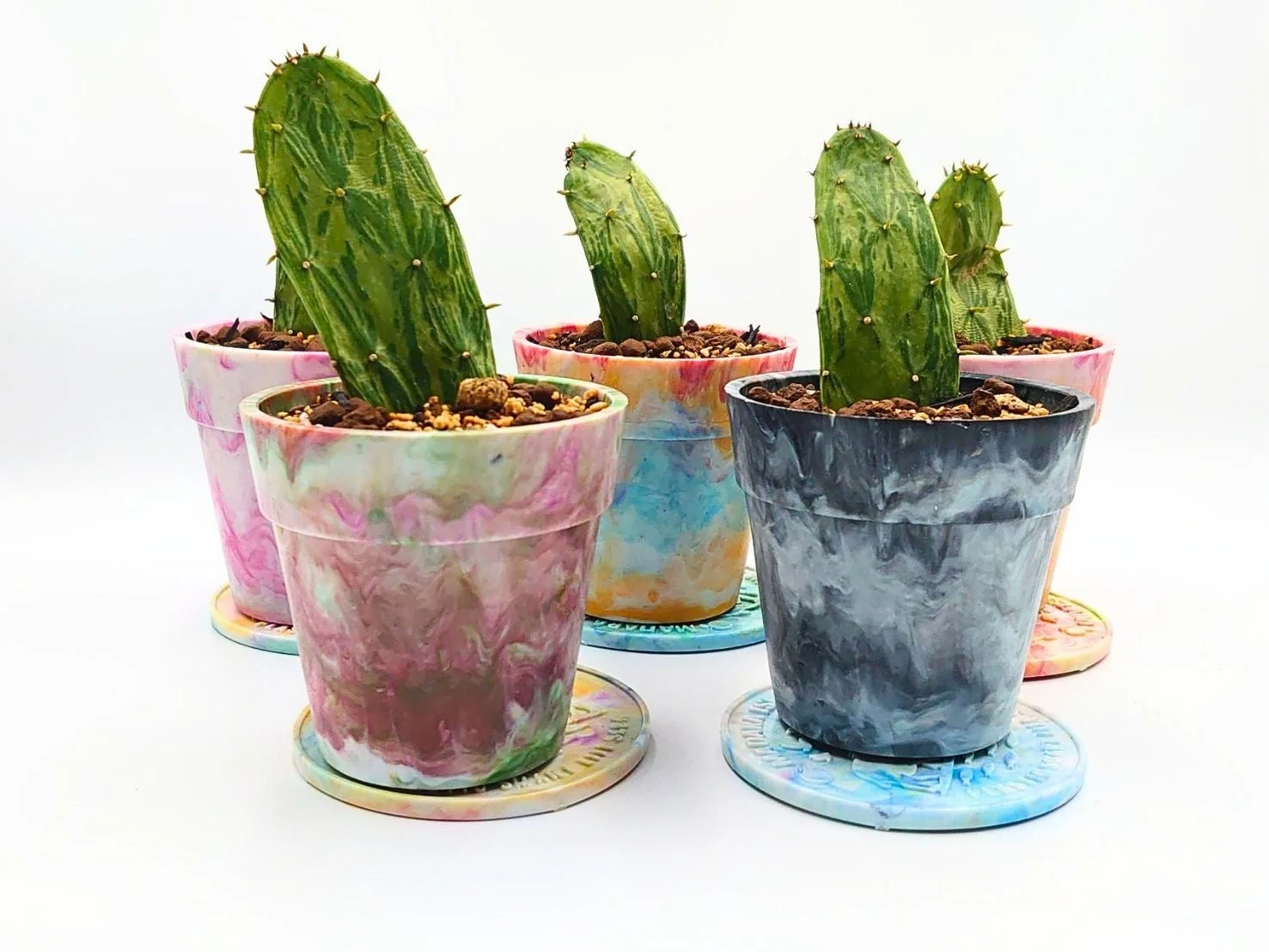 カラフルな植木鉢