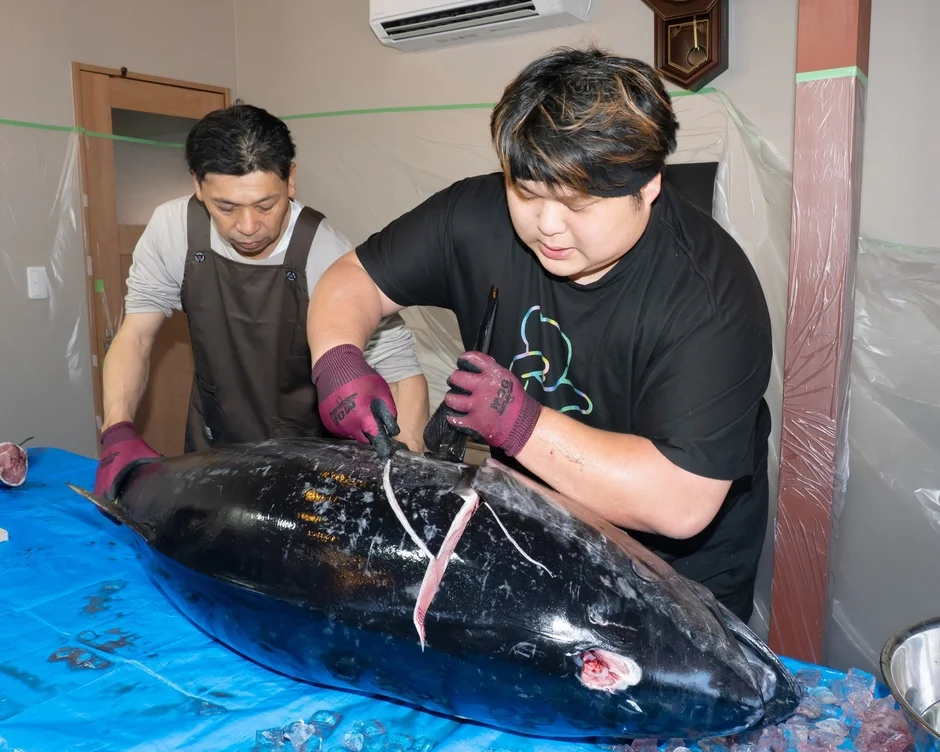 二人の男性が巨大なマグロを解体している様子です。青いシートの上で、氷に囲まれたマグロを専門の包丁で丁寧に捌いています。