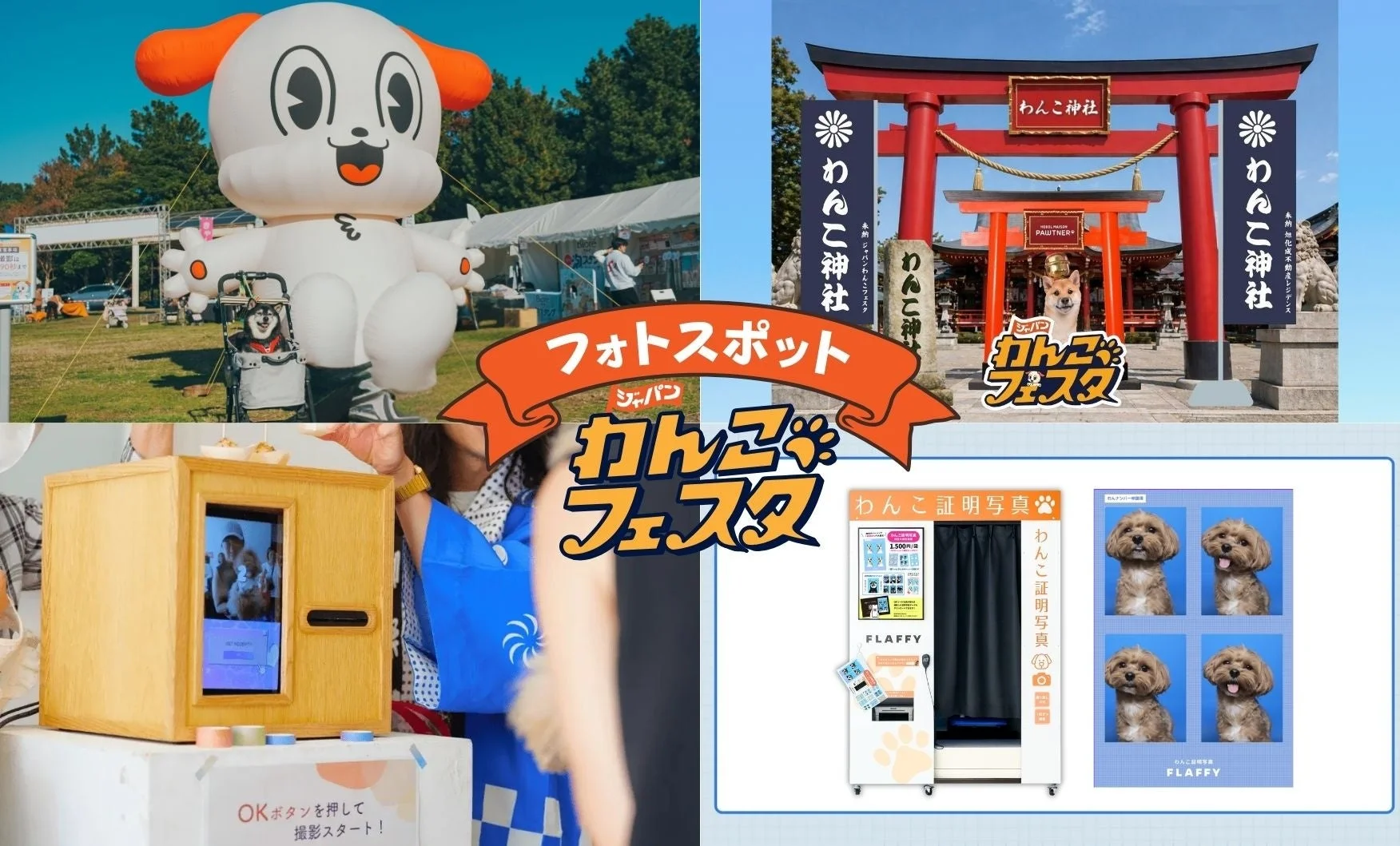 犬