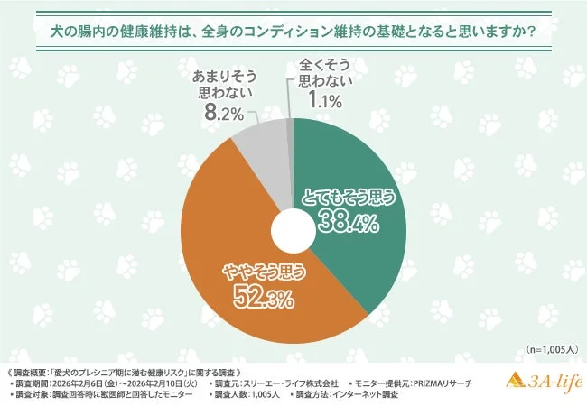 犬の腸内健康維持と全身のコンディションの関係