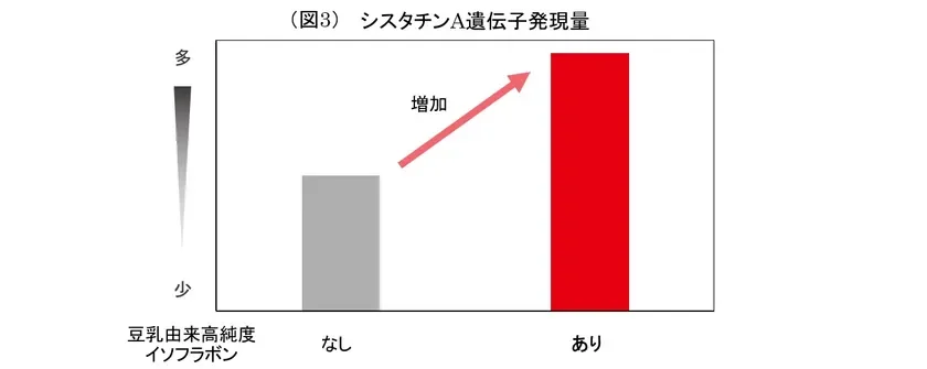 シスタチンA遺伝子発現量