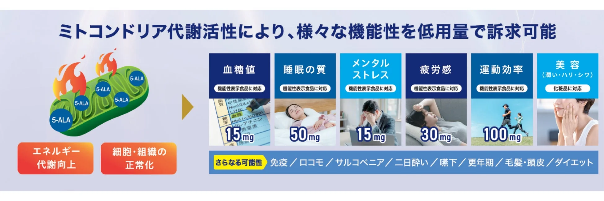 5-ALAの機能性と期待される効果を示す図