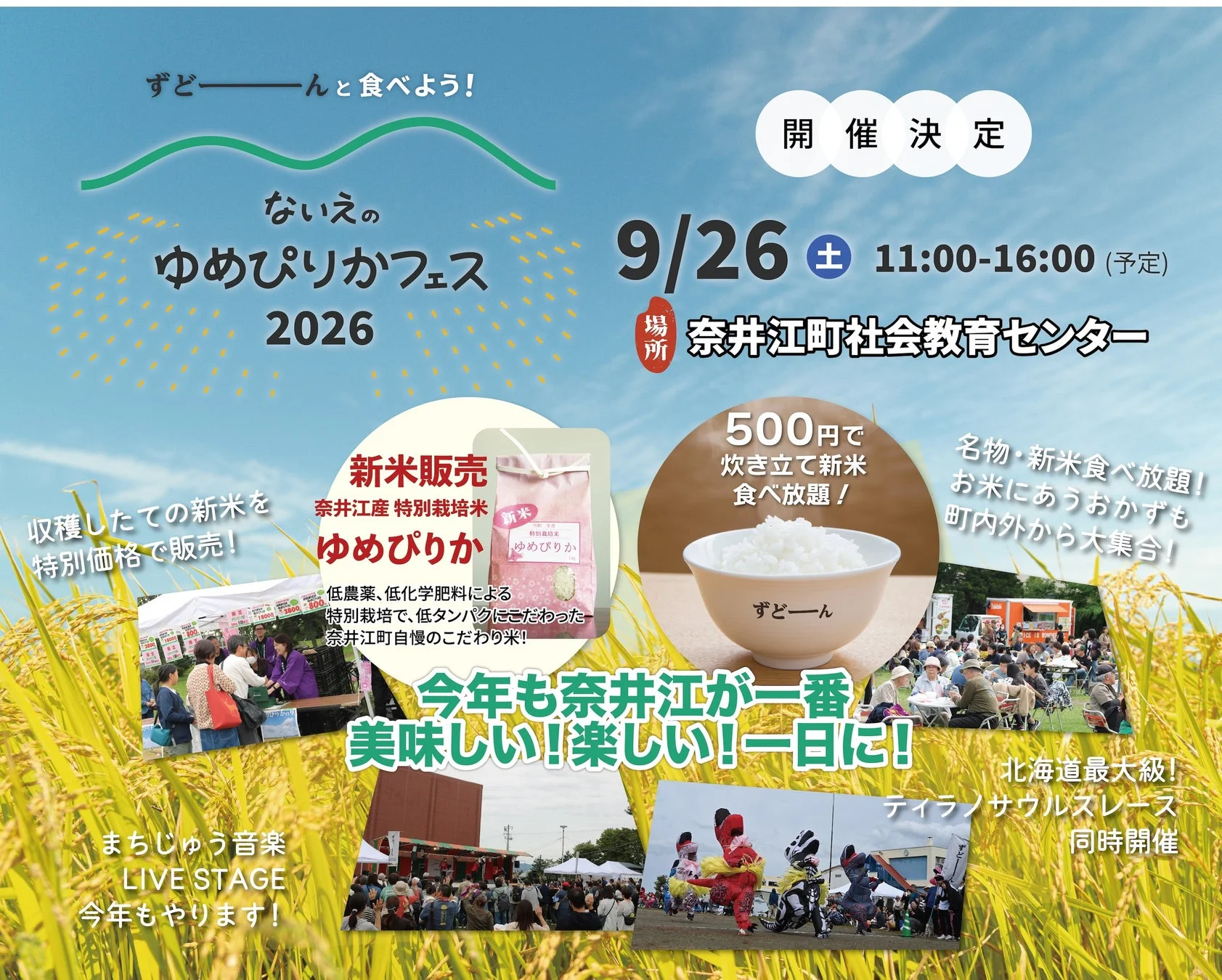 ないえのゆめぴりかフェス2026