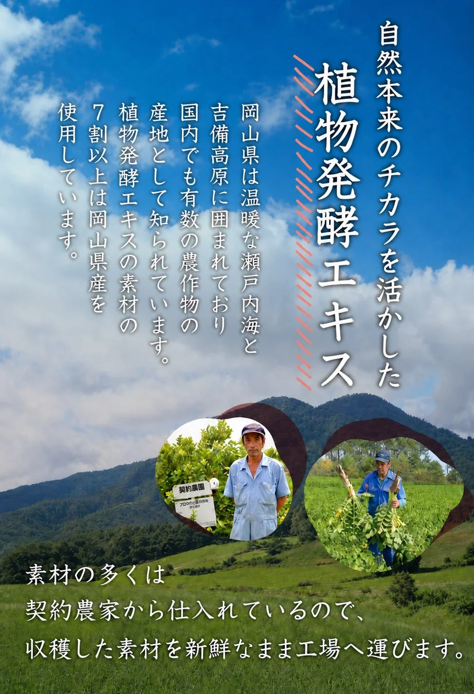 岡山県産の植物発酵エキスについて