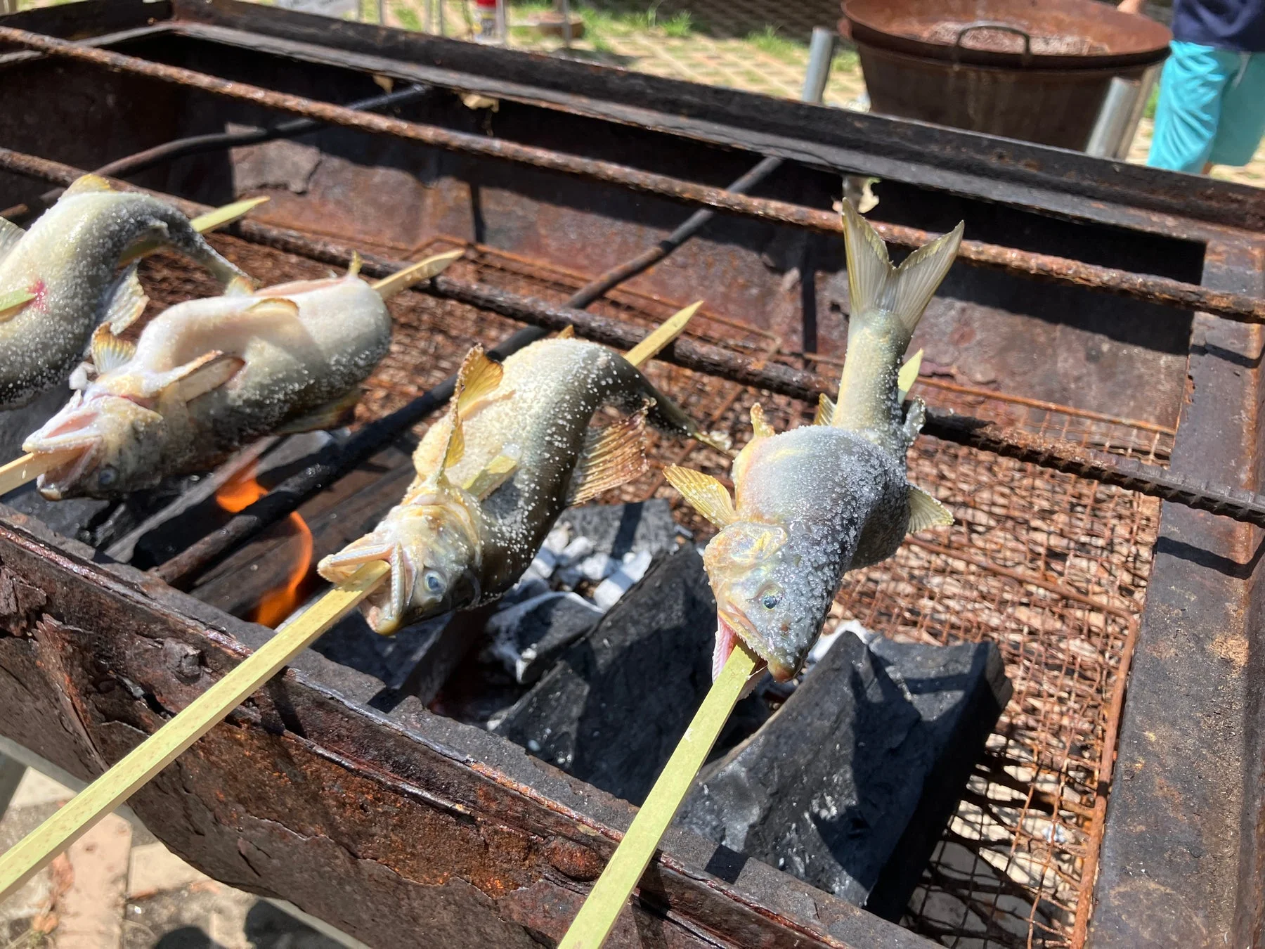 鮎の塩焼き