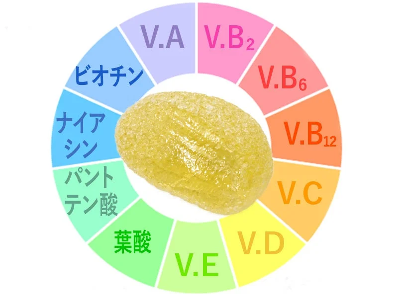 11種類のビタミン図解