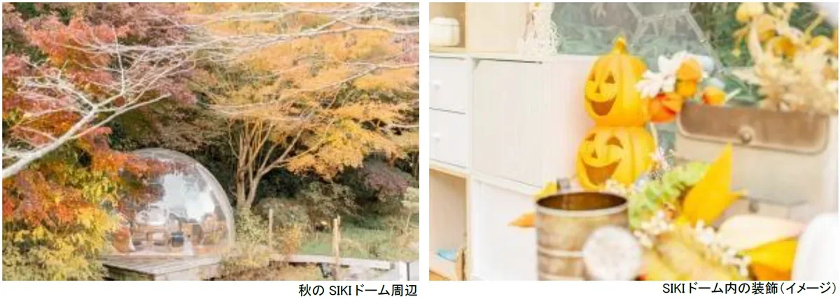 秋の SIKI ドーム周辺 SIKI ドーム内の装飾 (イメージ)