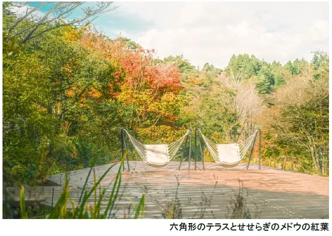 六角形のテラスとせせらぎのメドウの紅葉