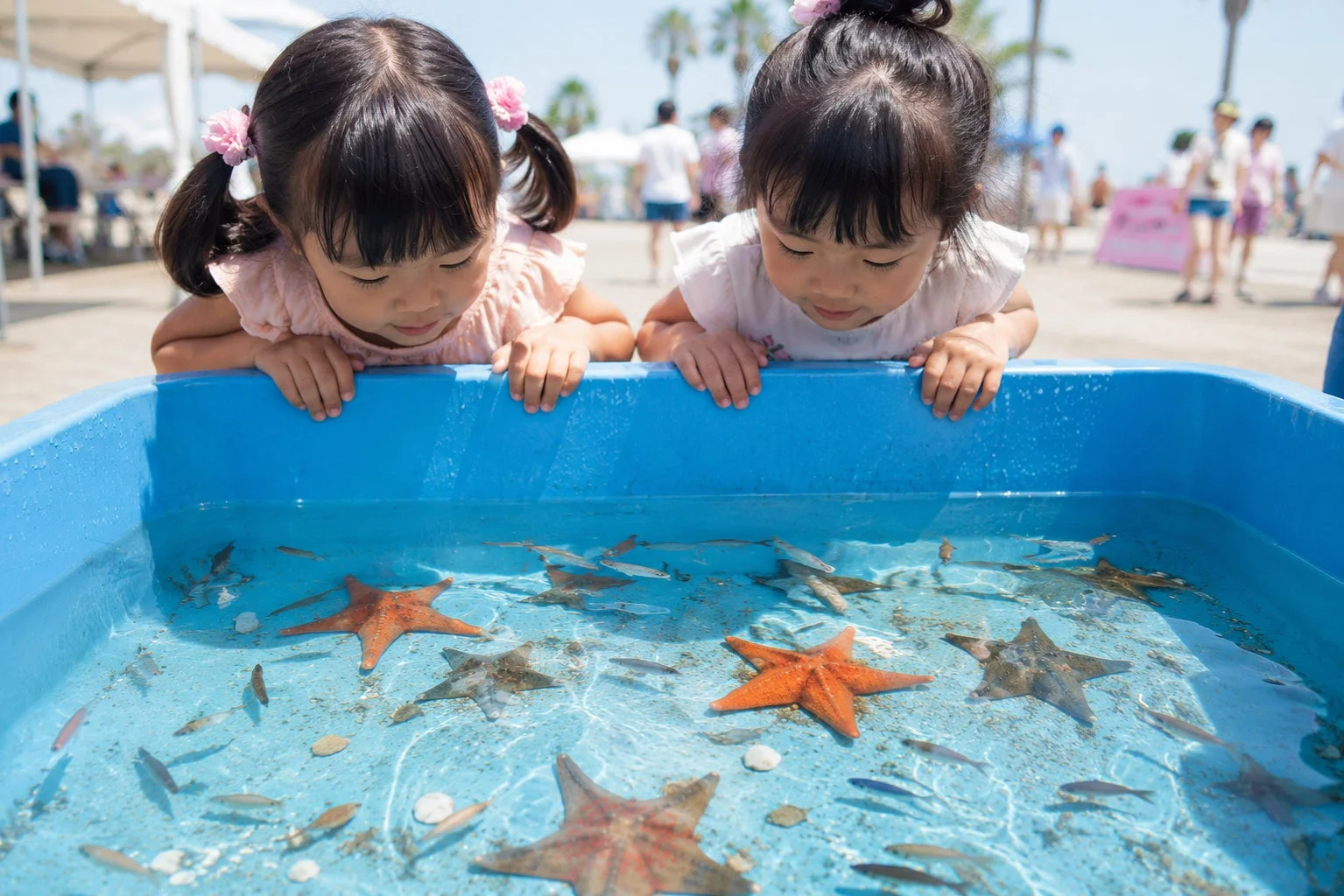 移動水族館で海の生き物を観察する子どもたち