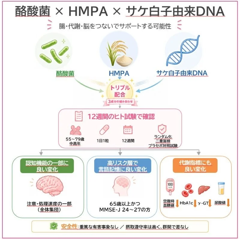 酪酸菌、HMPA、サケ白子由来DNAのトリプル配合が、腸・代謝・脳をサポートする可能性を示す図