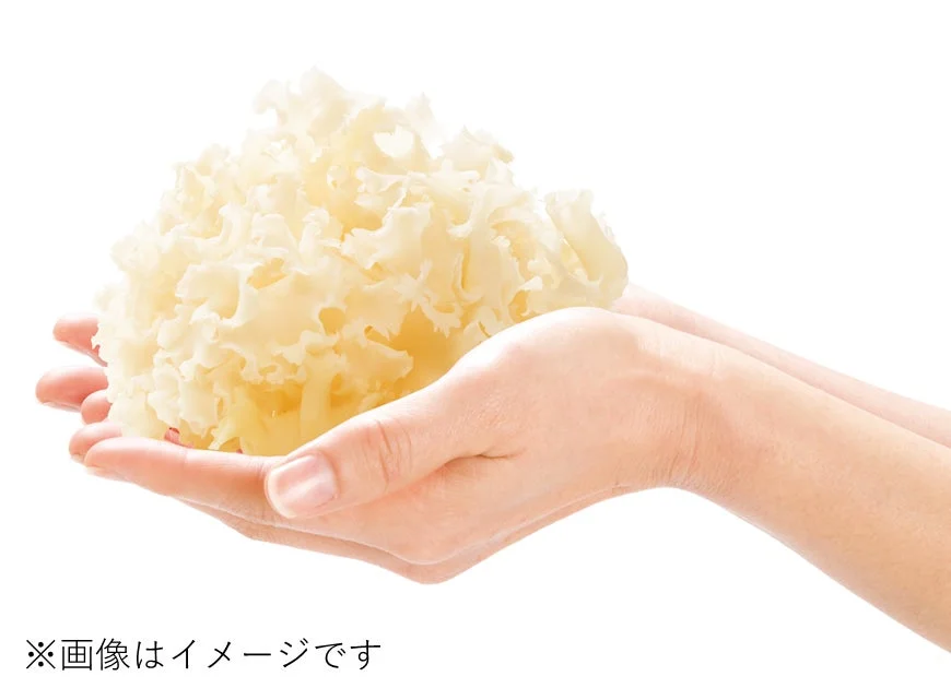 ITはなびらたけのイメージ