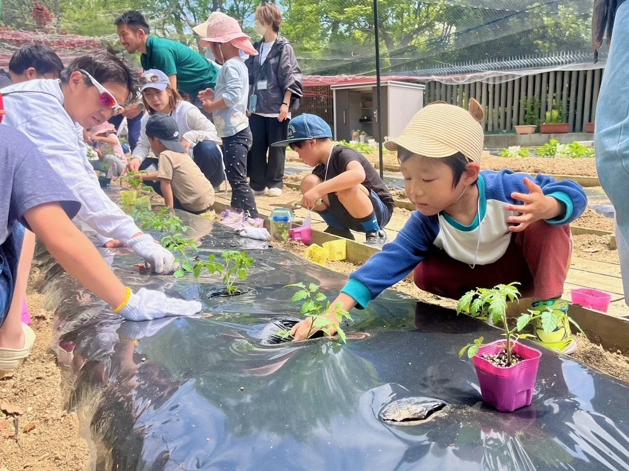定植イベントの様子